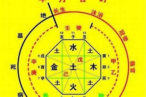 喜火之人|八字喜火是什么意思